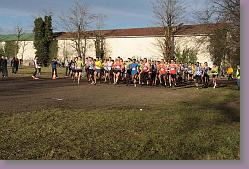 Begles 15.12.13 01 1003 * 679 x 453 * (167KB)